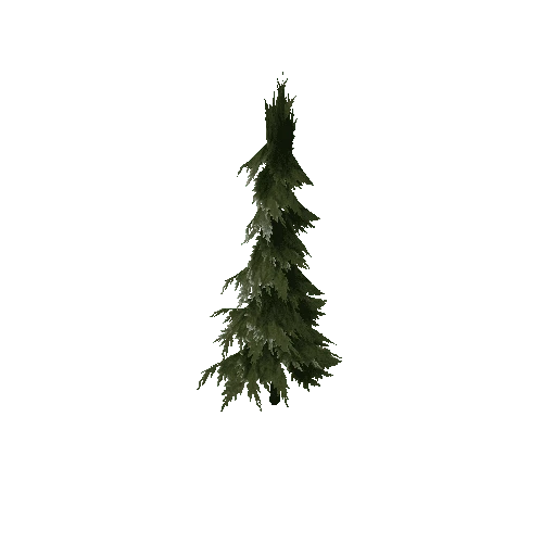 Pine (Type 1) Small 4
